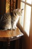 DSC_2623a.JPG
